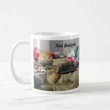 Inte Budgin förrän jag skaffar kaffe - Kat Mugg