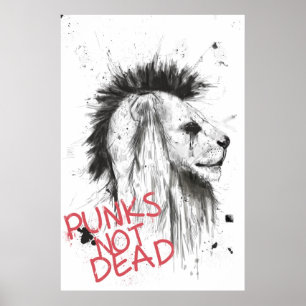 inte döda punks poster