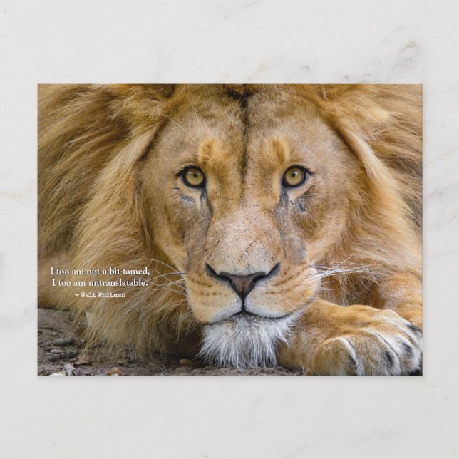 Inte en bit Tammerfors - Motiveringsoffert + foto Vykort (Framsida)