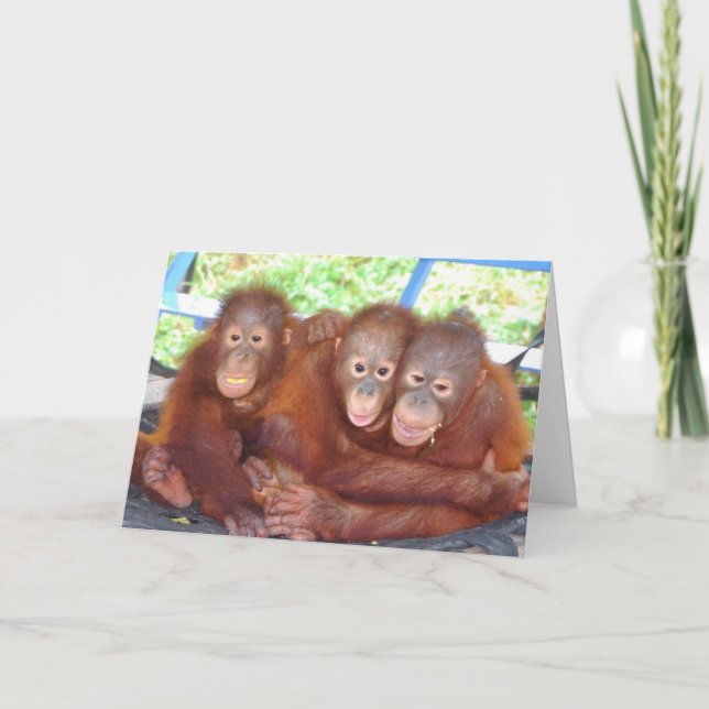 Inte en folkmassa - Orangutan Spädbarn Kort (Framsida)