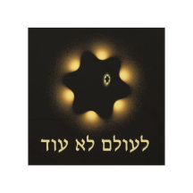 Inte en gång till David Fractal Star