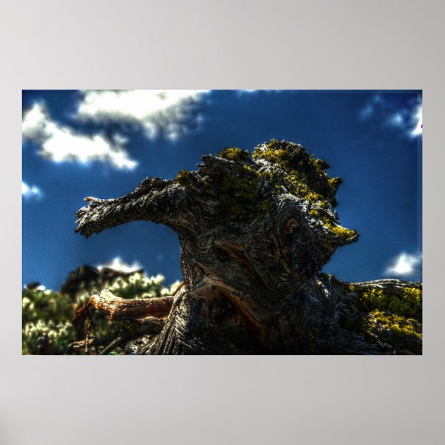 Inte en get poster (Framsidan)