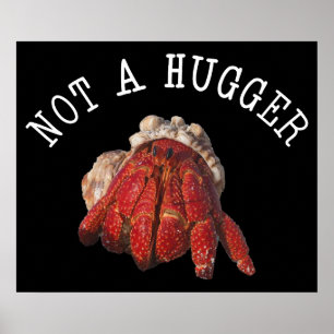 Inte en Kramare, funn Hermit Crab Poster