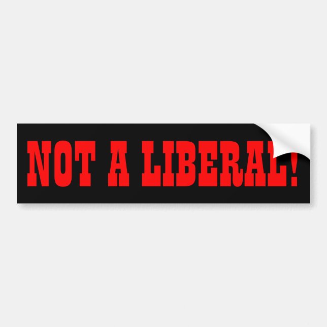 INTE EN LIBERAL BILDEKAL (Framsidan)