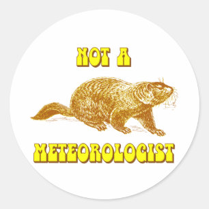 Inte en meteorolog Groundhog Runt Klistermärke