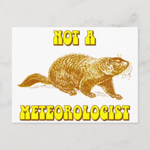 Inte en meteorolog Groundhog Vykort