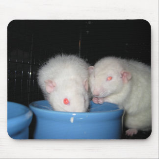 Inte en mus vadderar… musmatta