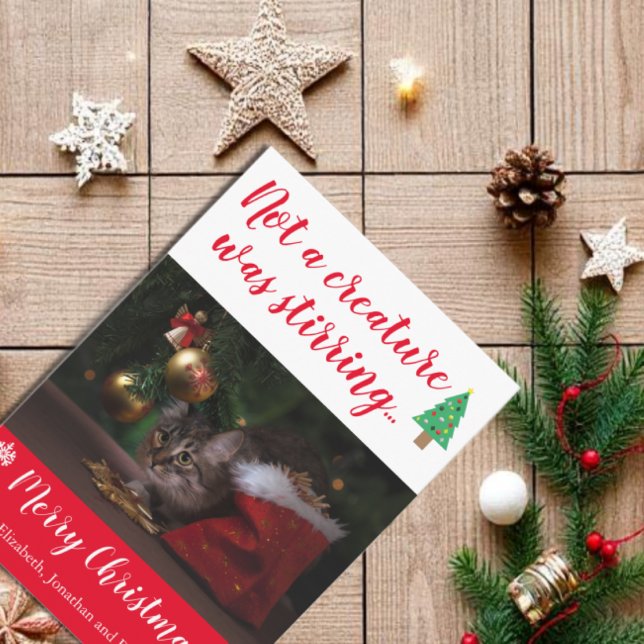 Inte en skapelse förorsakade Pet Photo Julkort (Skapare uppladdad)