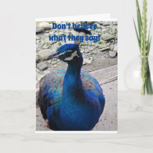 INTE ETT ELAK SOM ÄR PEACOCK-VÄNLIGT OCH SOM SÄGER KORT