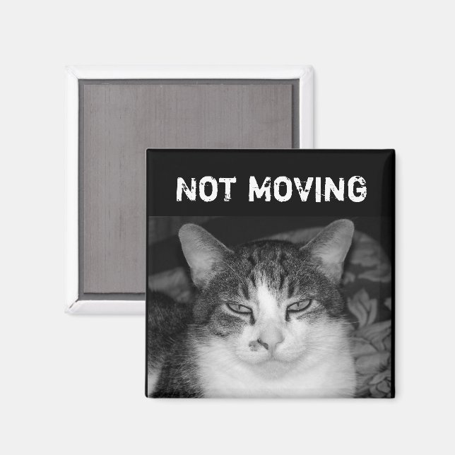 "Inte Flytta" Crabby Cat Magnet (Front/Back)