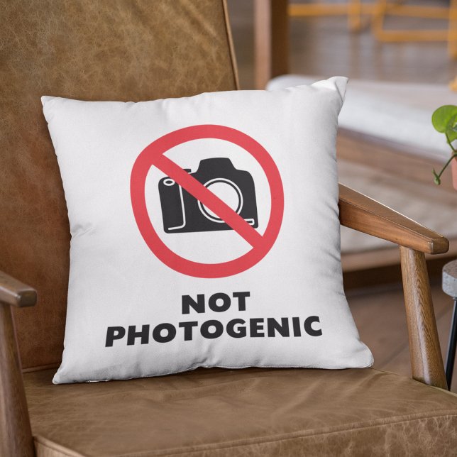 Inte fotogen - inga fototecken kudde (Skapare uppladdad)