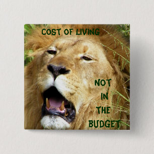 Inte i knappen Budget_ Knapp