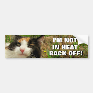 Inte i värme, bak från Calico Cat-PM Bildekal
