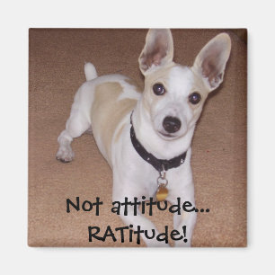 Inte inställning…, RATitude! Magnet