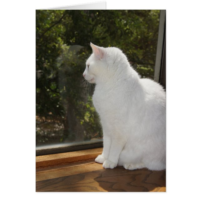 Inte kan väntan att se dig OBS kort (Framsidan)