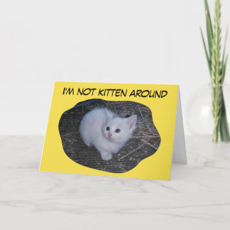 Inte kattunge omkring kort