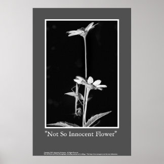 Inte lika okänslig blomma poster