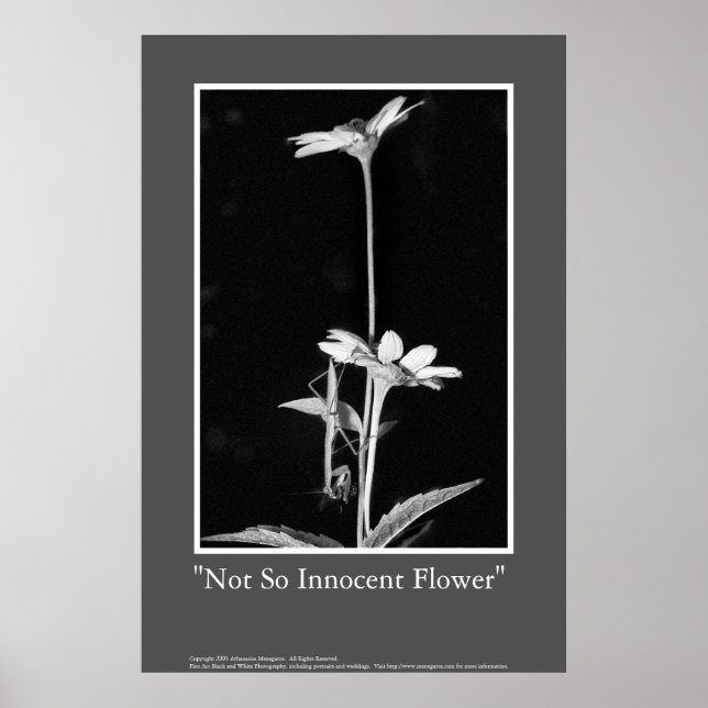 Inte lika okänslig blomma poster (Framsidan)