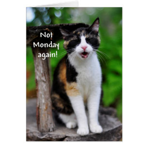 "Inte måndag igen!" Humant Calico-kort Hälsningskort