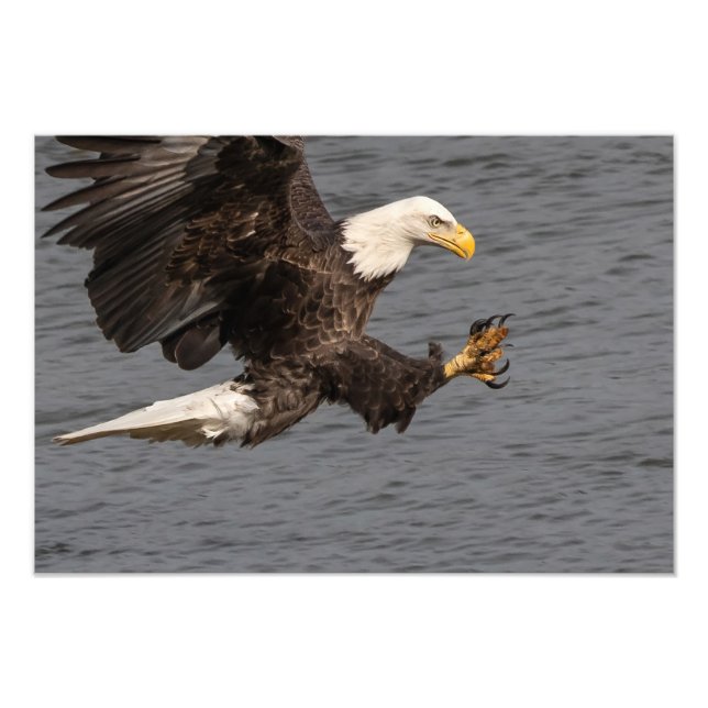  inte med Örn Fototryck (Framsidan)