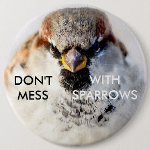  inte med Sparrows Knapp