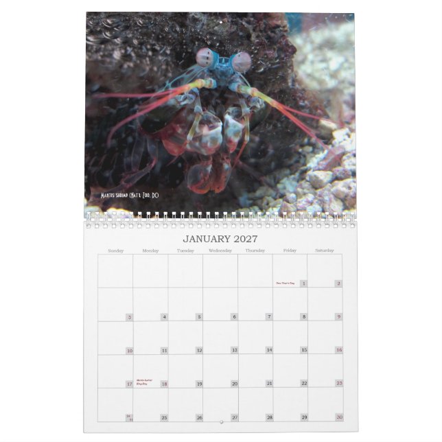 "Inte mer karismatiska Megafauna!", - kalender (Jan 2027)