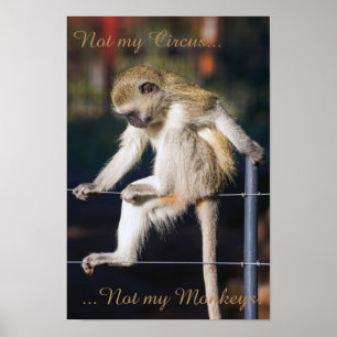 Inte min cirkus, inte mina apor poster