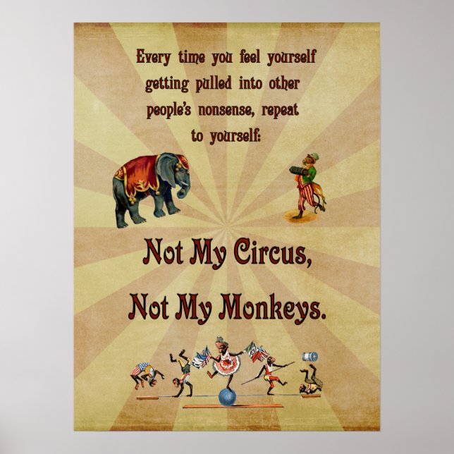 Inte min cirkus, inte mina apor poster (Framsidan)