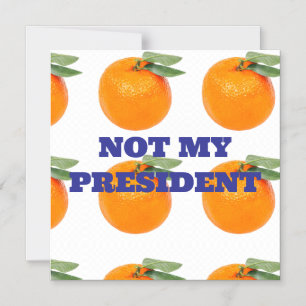 INTE MIN PRESIDENT MAGNET