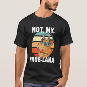 Inte min Problama Coola Lama Drama Llama Retro Sun T Shirt