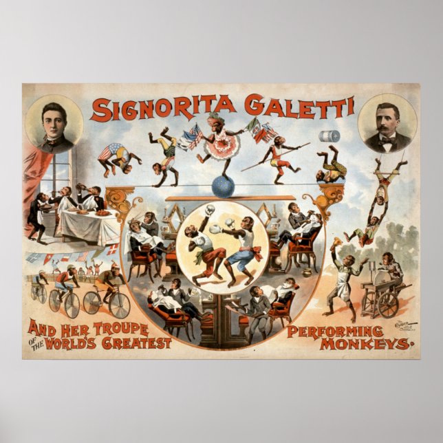 Inte mina apor, inte min circus Vintage affisch (Framsidan)