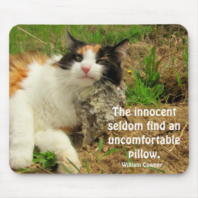 Inte så oskyldig? musmatta (Framsidan)