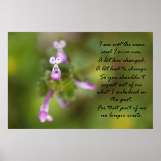 Inte samma sjö poster