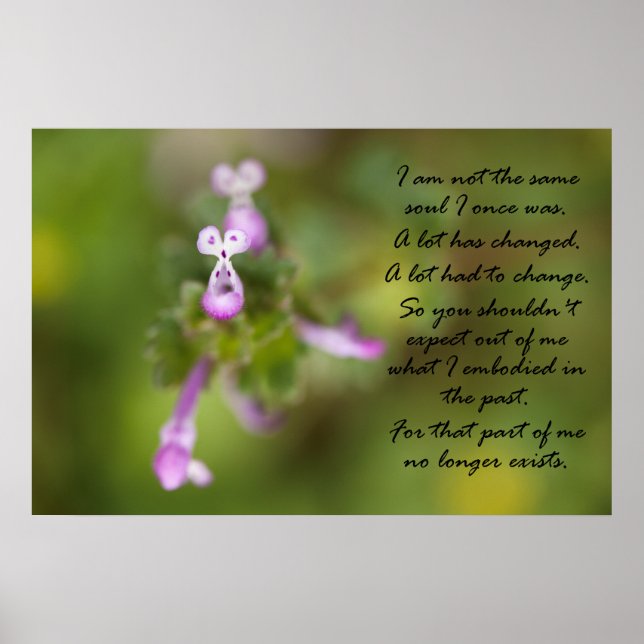 Inte samma sjö poster (Framsidan)