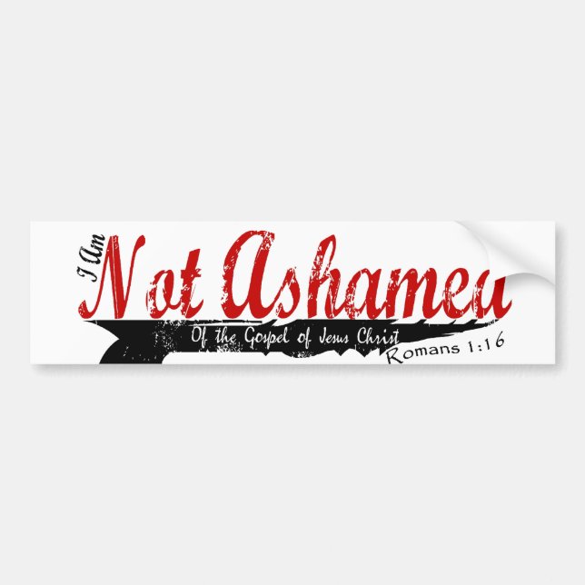 Inte skamset! bildekal (Framsidan)