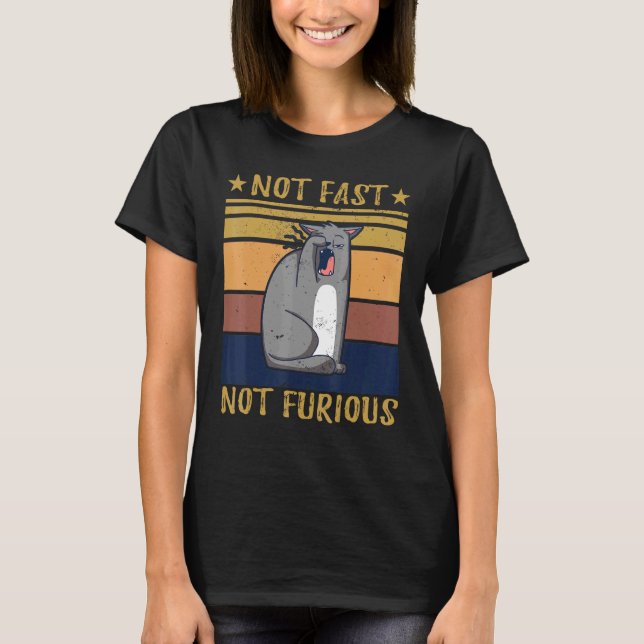 Inte snabb, icke-ren katt t shirt (Framsida)