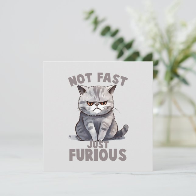 Inte snabb, precis ren, ren Grått Cat Humor (Stående Fram)
