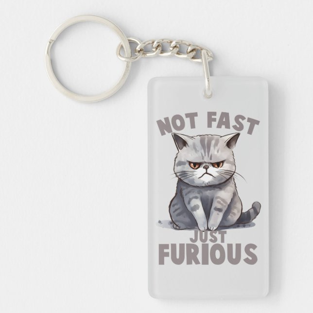 Inte snabb, precis ren, ren Grått Cat Humor (Framsidan)