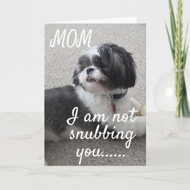 **INTE SNUBBLA DIG MAMMA UTAN ÖNSKAR U BIRTHDAY" KORT (Framsida)