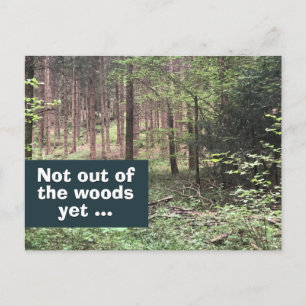 Inte ur skogen än Karantän i naturen Vykort
