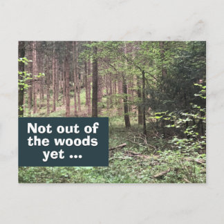 Inte ur skogen än Karantän i naturen Vykort
