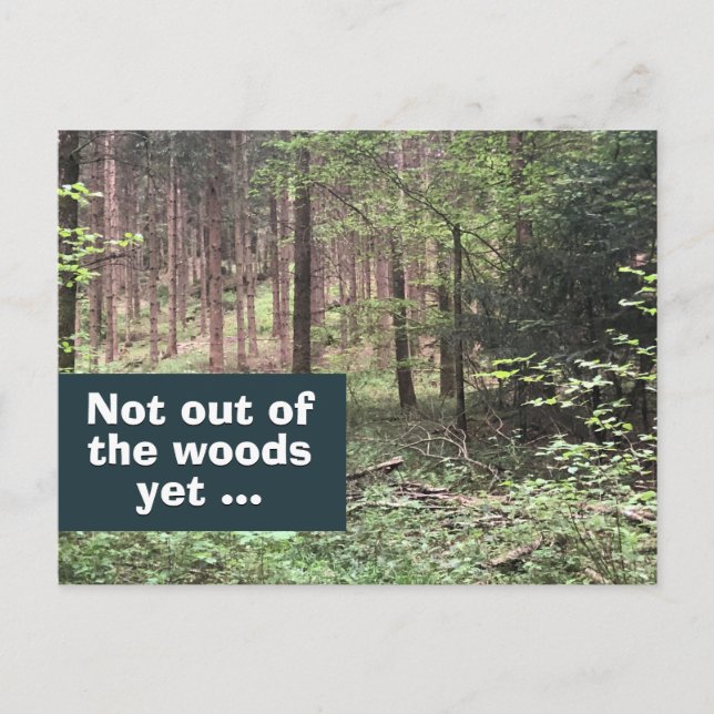 Inte ur skogen än Karantän i naturen Vykort (Framsida)