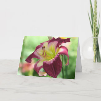 "Integrerad logistik" varje dag Kort