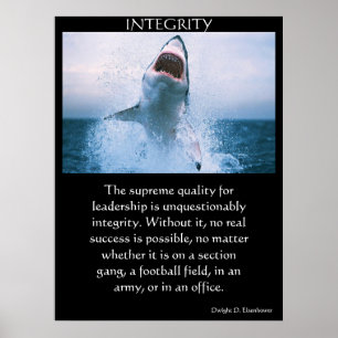 INTEGRITET Poster