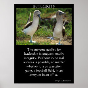 INTEGRITET Poster