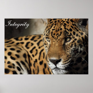 Integritet Poster