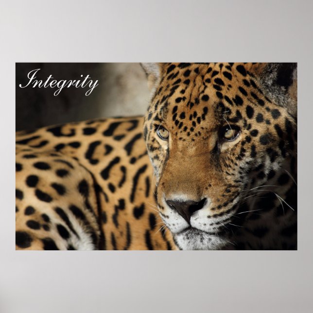 Integritet Poster (Framsidan)
