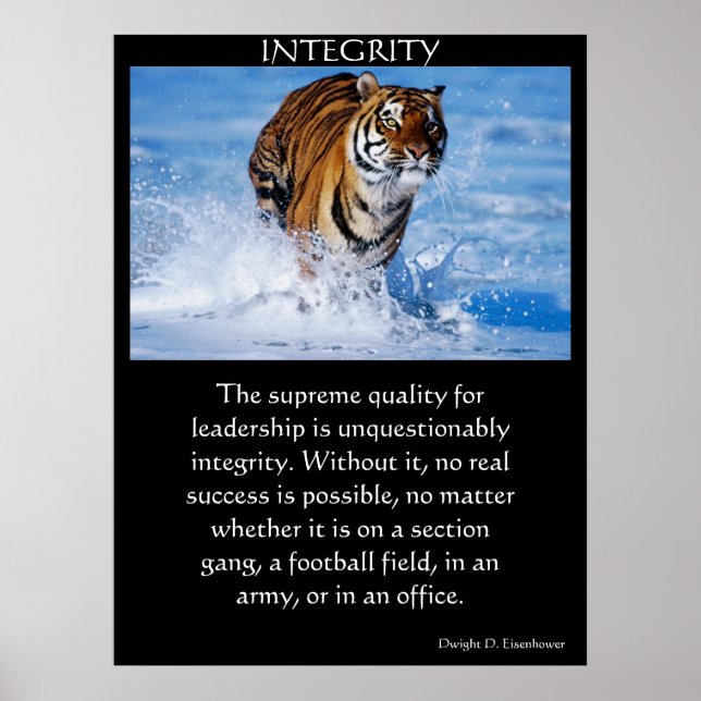 INTEGRITET Poster (Framsidan)