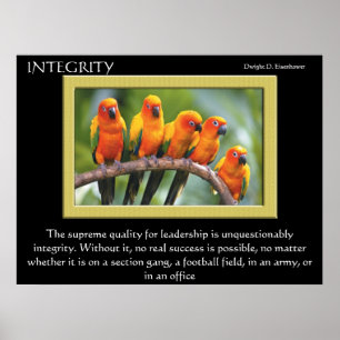 INTEGRITET Poster