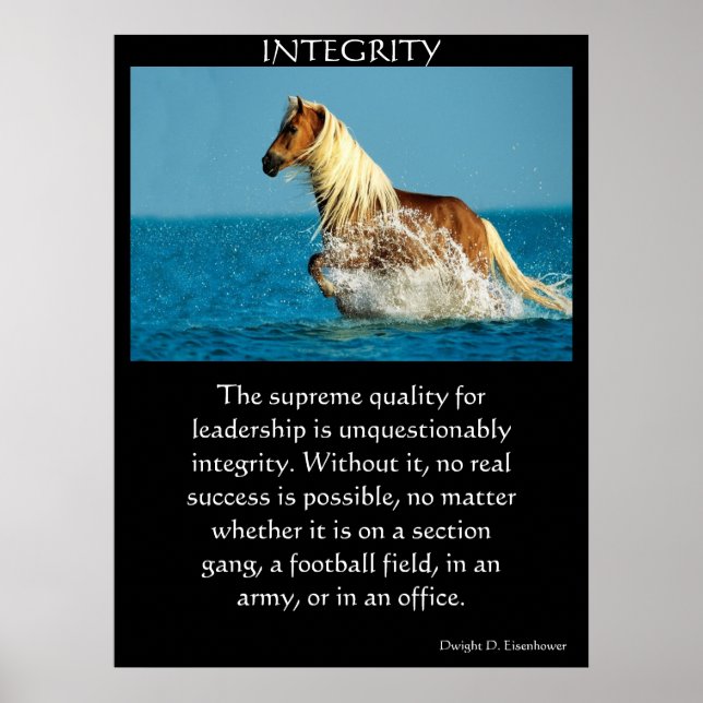 INTEGRITET Poster (Framsidan)